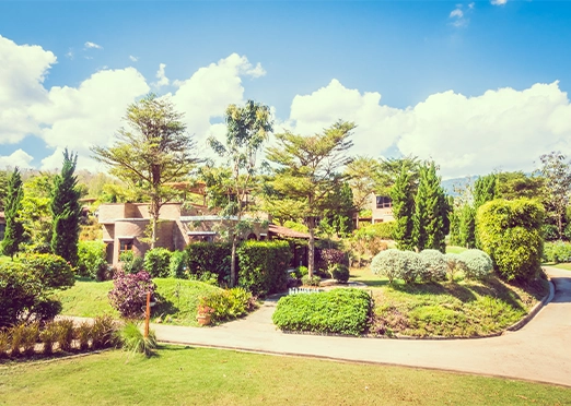 Landscaped Garden